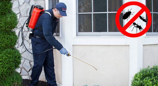 Muğla Böcek İlaçlama böcek ilaçlama ve haşere kontrolü — ilaclama-tr.com
